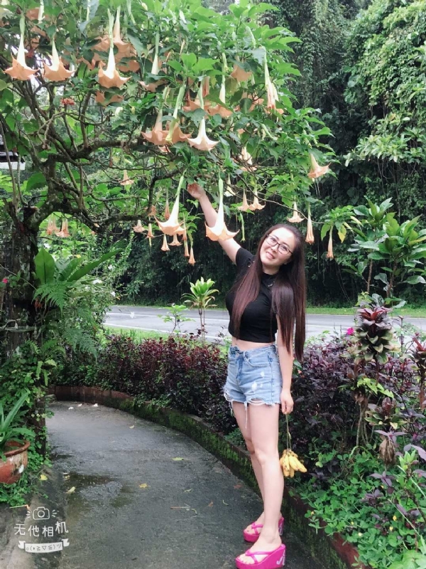 离异单身无子的第二张照片--南平相亲网