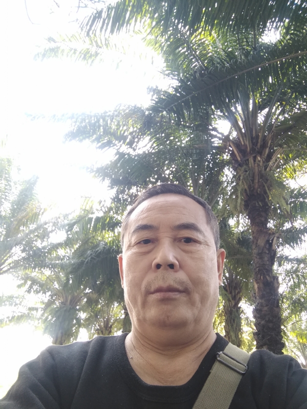 重振雄风的第二张照片--南平相亲网