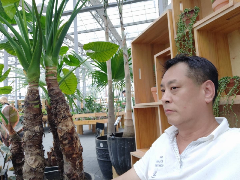 davidxy669988的第一张照片--南平相亲网
