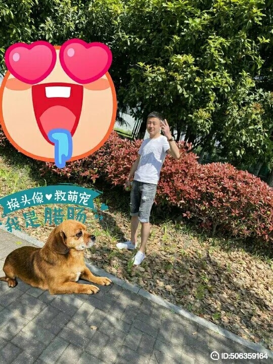 我若不坚强谁替我勇敢的第五张照片--南平相亲网