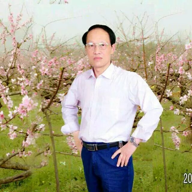 枫叶的第一张照片--南平相亲网